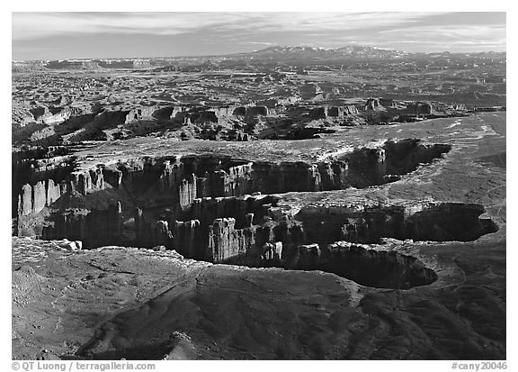 Maze of interlocked canyons from Grand view point, Island in the sky. Canyonlands National Park (black and white)