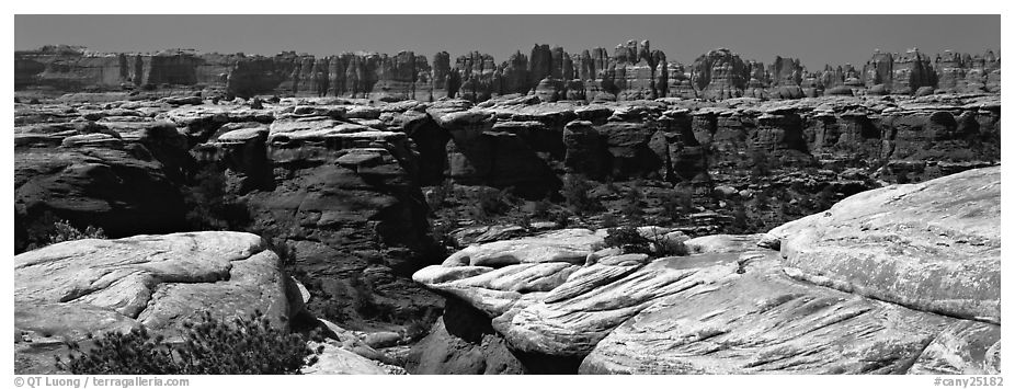 Sandstone needles near Elephant Hill, Needles District. Canyonlands National Park (black and white)
