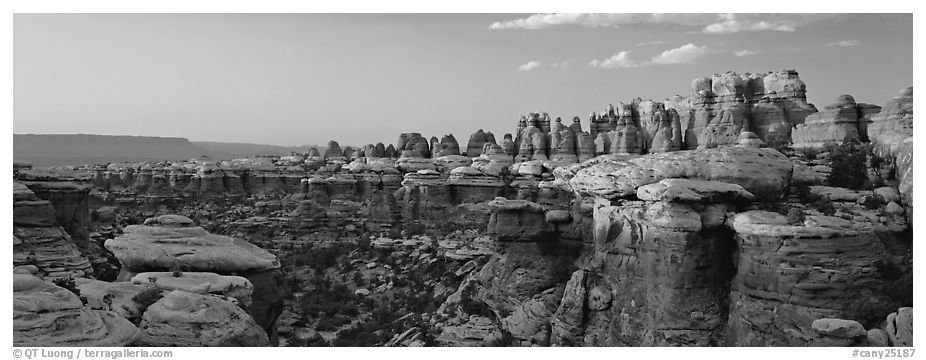 Rock Needles glowing at sunset, Needles District. Canyonlands National Park (black and white)