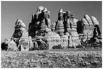 Cactus on flats and spires of the Doll House. Canyonlands National Park, Utah, USA. (black and white)