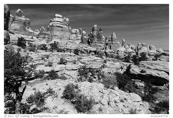 Spires and pinnacles, Dollhouse. Canyonlands National Park (black and white)