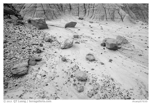Bentonite and petrified wood, Orange Cliffs Unit, Glen Canyon National Recreation Area, Utah. USA (black and white)