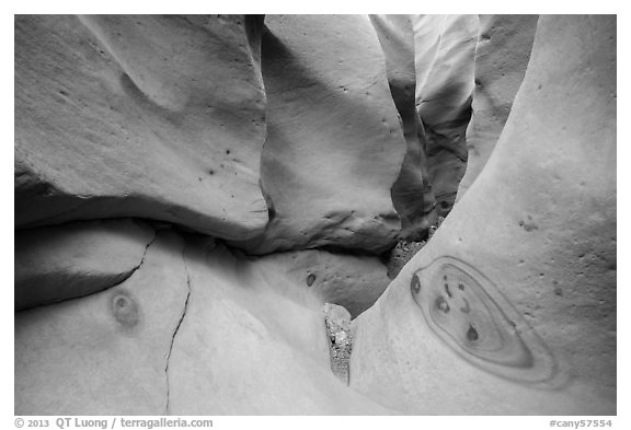 Motifs in sandstone, High Spur slot canyon, Orange Cliffs Unit, Glen Canyon National Recreation Area, Utah. USA