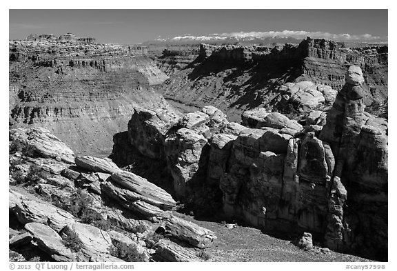 Surprise Valley, Colorado River, and snowy mountains. Canyonlands National Park, Utah, USA.