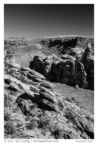 Surprise Valley, Colorado River seen from Dollhouse. Canyonlands National Park, Utah, USA.