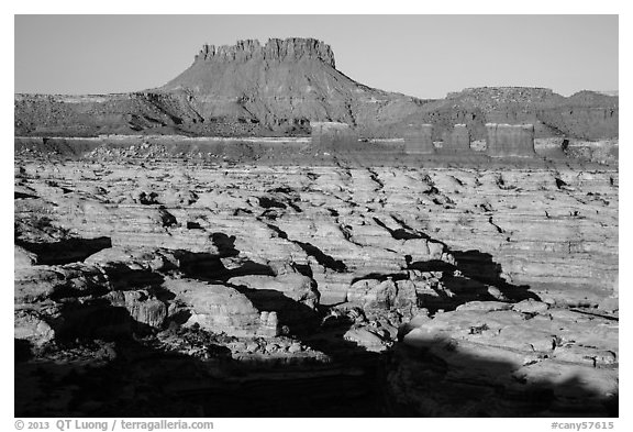 Chocolate drops, Maze canyons, and Elaterite Butte, early morning. Canyonlands National Park, Utah, USA.