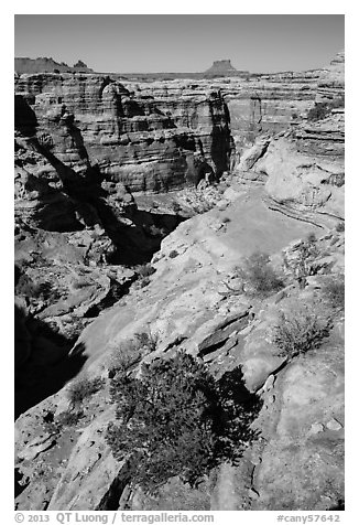 Maze canyons and Eckert Butte. Canyonlands National Park, Utah, USA.