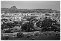 Maze and  Elaterite Butte seen at dawn from Standing Rock. Canyonlands National Park, Utah, USA. (black and white)