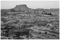 Chocolate drops, Maze canyons, and Elaterite Butte at sunrise. Canyonlands National Park, Utah, USA. (black and white)