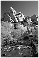Freemont River and spring vegetation. Capitol Reef National Park ( black and white)