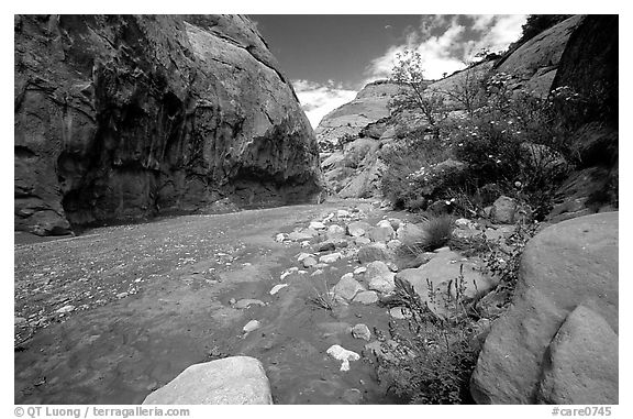 Wash in Capitol Gorge. Capitol Reef National Park (black and white)