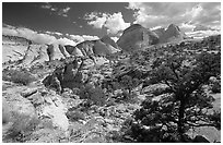 Plateau and domes above Capitol Gorge. Capitol Reef National Park, Utah, USA. (black and white)