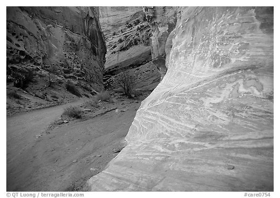 Rock walls, Capitol Gorge. Capitol Reef National Park (black and white)