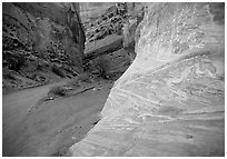 Rock walls, Capitol Gorge. Capitol Reef National Park, Utah, USA. (black and white)