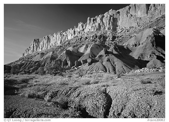 Wildflowers and Waterpocket Fold, afternoon. Capitol Reef National Park (black and white)