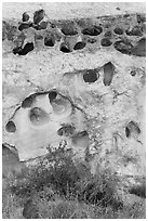 Rock with holes, Fremont River gorge. Capitol Reef National Park ( black and white)