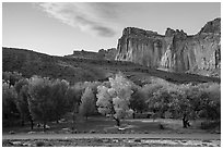 Fruita Campground and cliffs at sunset. Capitol Reef National Park, Utah, USA. (black and white)
