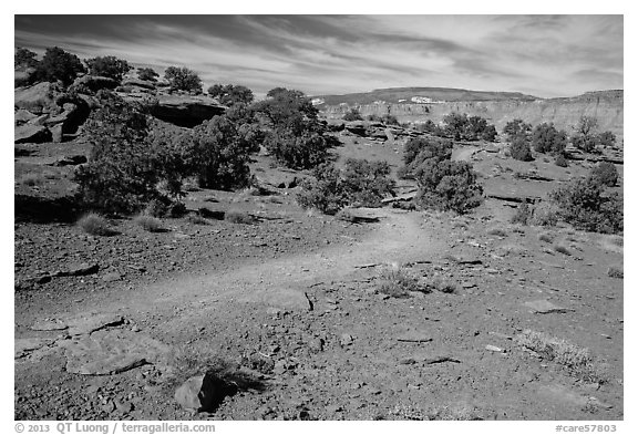 Trail near Sunset Point. Capitol Reef National Park (black and white)