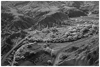 Fruita historic orchards from above in autumn. Capitol Reef National Park, Utah, USA. (black and white)