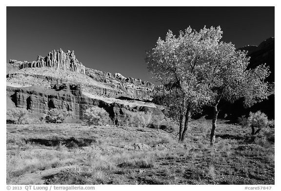 Castle Meadow and Castle in autumn. Capitol Reef National Park (black and white)