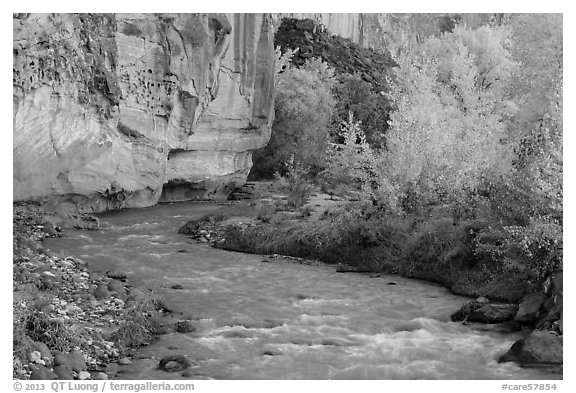 Fremont River, cottonwoods, and cliffs in autumn. Capitol Reef National Park (black and white)