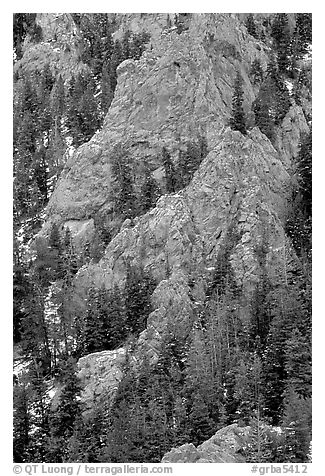 Limestone towers and pine trees near Lexington Arch. Great Basin National Park (black and white)