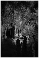 Room with delicate stalagtites, Lehman Cave. Great Basin National Park ( black and white)