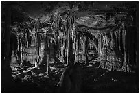 The Swamp, Lehman Cave. Great Basin National Park ( black and white)