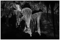 Parachute Shields in Grand Palace, Lehman Cave. Great Basin National Park ( black and white)