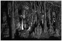 Marble cave formations, Lehman Cave. Great Basin National Park ( black and white)