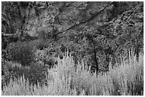 Grey Cliffs. Great Basin National Park ( black and white)