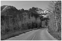 Wheeler Peak with bare aspen from Wheeler Peak Scenic Drive. Great Basin National Park ( black and white)