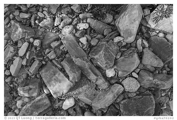 Close up of rocks in dry riverbed, Snake Creek. Great Basin National Park (black and white)