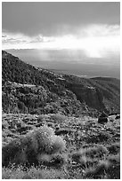 Sage covered slopes above Spring Valley. Great Basin National Park, Nevada, USA. (black and white)