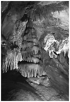 Concretions in Lehman Cave. Great Basin National Park ( black and white)