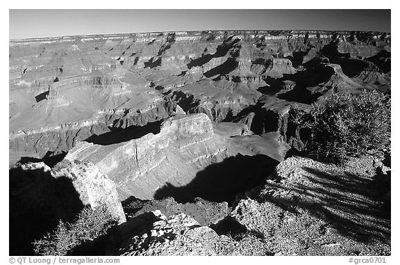 View from Hopi point, morning. Grand Canyon National Park (black and white)