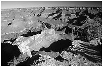 View from Hopi point, morning. Grand Canyon National Park, Arizona, USA. (black and white)