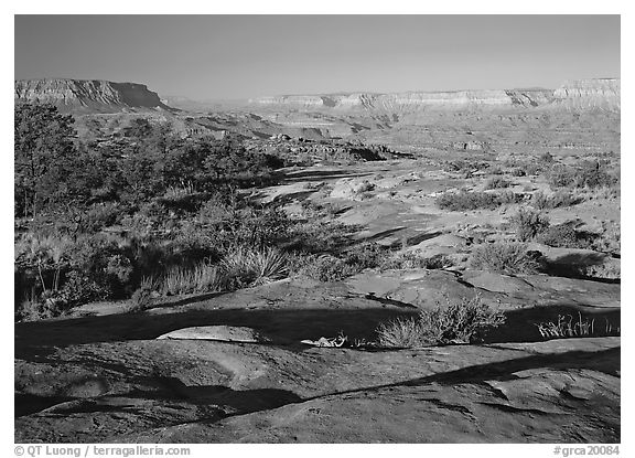 Rock slabs on the Esplanade, early morning. Grand Canyon  National Park (black and white)