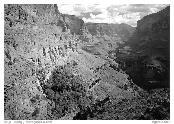Thunder Spring Oasis at the mounth of Tapeats Creek secondary canyon. Grand Canyon  National Park (black and white)