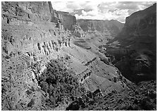Thunder Spring Oasis at  mounth of Tapeats Creek secondary canyon. Grand Canyon National Park, Arizona, USA. (black and white)