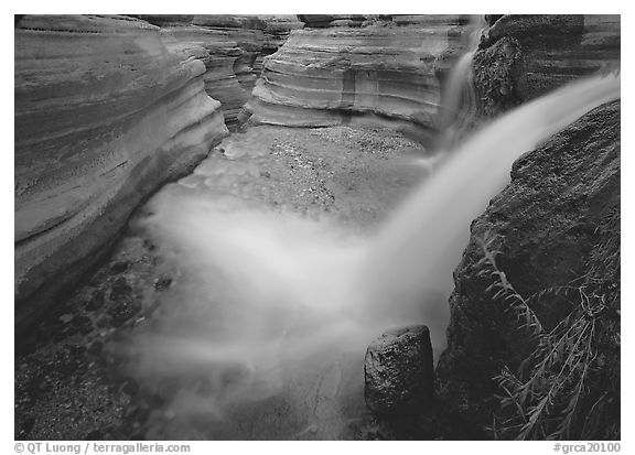 Cascade of Deer Creek. Grand Canyon National Park (black and white)