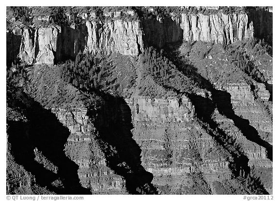 Canyon walls from Bright Angel Point, morning. Grand Canyon  National Park (black and white)