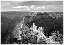 Wotans Throne seen from  North Rim, early morning. Grand Canyon National Park, Arizona, USA. (black and white)