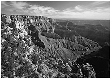 Rim near Cape Royal. Grand Canyon National Park ( black and white)