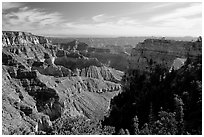 Cliffs and Angel's Arch near Cape Royal, morning. Grand Canyon National Park, Arizona, USA. (black and white)
