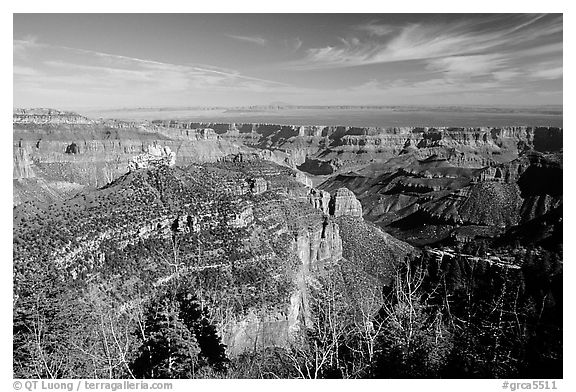 View from Roosevelt Point, morning. Grand Canyon National Park (black and white)