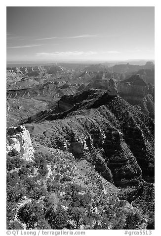 View from Point Imperial, morning. Grand Canyon National Park (black and white)