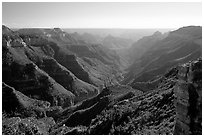 Lush side canyon, North Rim. Grand Canyon National Park, Arizona, USA. (black and white)