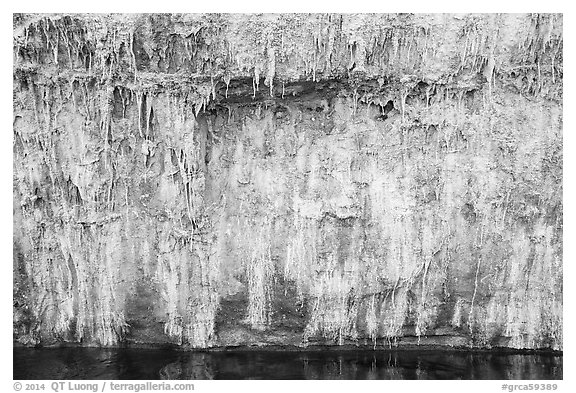 Salt stalagtites on riverside cliff. Grand Canyon National Park (black and white)