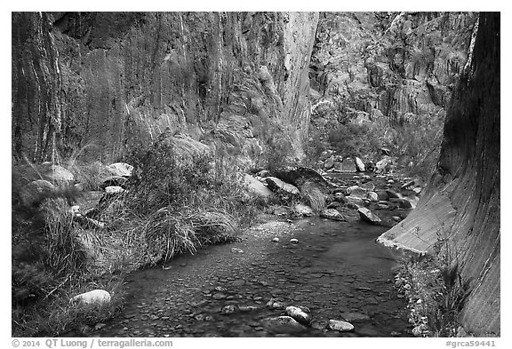 Stream and riparian environment, Clear Creek. Grand Canyon National Park (black and white)